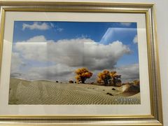 -新疆巴州金丝特餐厅(大钟寺店)