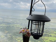 -六阅·福十 FORTEN 海景咖啡西餐厅(双廊古镇店)