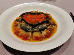 -子福慧(虹桥店)
