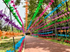 -桤木河湿地公园