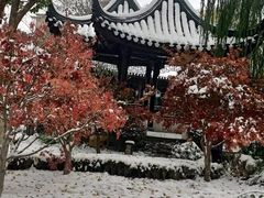 -君庭中餐厅(友谊宾馆店)