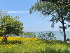 -阳澄湖半岛旅游度假区