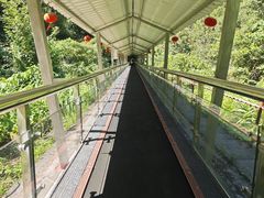 -富春桃源风景区