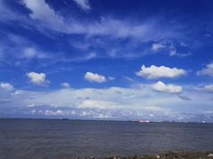 -上海滨江森林公园