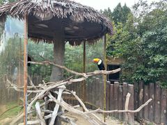 -上海野生动物园