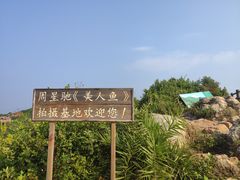 -杨梅坑