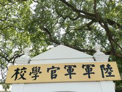 -长洲岛