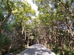 -同里国家湿地公园