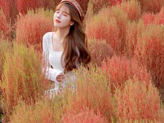 -汉长安城未央宫国家考古遗址公园