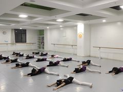 -西安小天鹅艺术团(金花路校区)