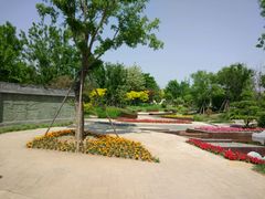 -武清南湖绿博园