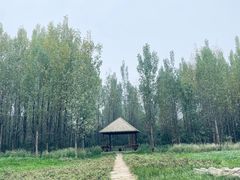 -白鹭湾湿地公园