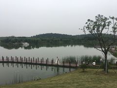 -大塘金香草谷