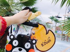 -聚龙湾欢乐水世界