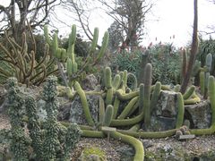 -墨尔本皇家植物园