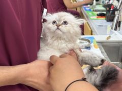 -美联众合动物医院·24h京西诊疗中心