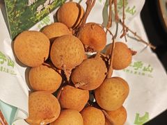 -季季山·云南野生菌火锅(上海首店)