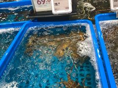 -盒马鲜生(皇庭广场店)