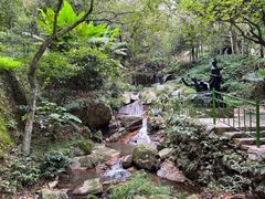 -莫干山风景区