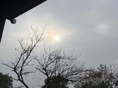 -桃花岭景区
