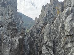 -千岛湖石林
