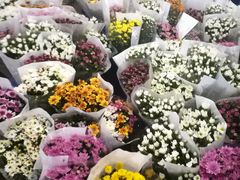 -三圣花乡旅游区