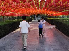 -大槐树寻根祭祖园
