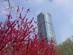 -和平区健康主题公园
