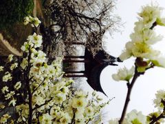 iphone_upload_pic-林屋洞景区