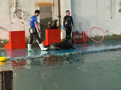 -北戴河圣蓝海洋公园