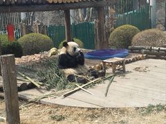 -大连森林动物园