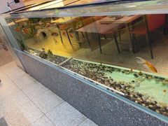 -令狐冲烤鱼·烧菜馆(达明店)