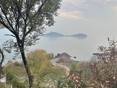 -上海市保健医疗中心