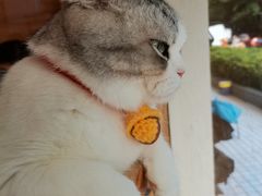 -VR+乐园·VR电竞·家庭亲子·密室逃脱·轰趴团建