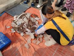 -青岛沙子口国家中心渔港