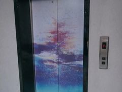 -引领英语·成人口语·雅思托福