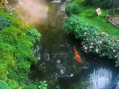 -Chom Cafe and Restaurant