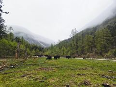 -古尔沟华美达温泉度假酒店