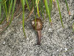 -宁波五龙潭景区