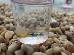 -东戴河风景区-止锚湾