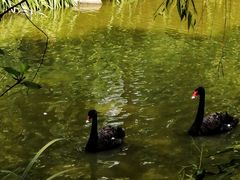 -济南野生动物世界