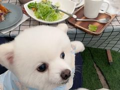 -Lets burger非常汉堡·环球风味(蓝色港湾店)