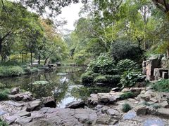 -秋霞圃