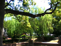 upload_pic-上海市龙华烈士陵园