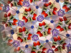 -猫的天空之城概念书店(印象城购物中心店)