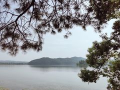 -东湖落雁景区