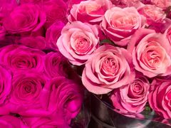 -岁宝Shirble plaza(景田店)