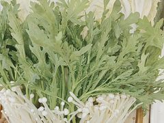 -蝎王府羊蝎子(北大地店)