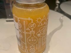 -野萃山·潮汕厚果汁(十亩地店)