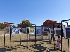 -五角枫生态旅游景区